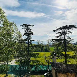 La Rondinella Cerasolo